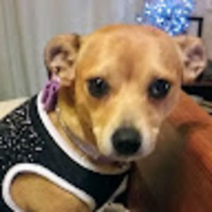 Meet your Posher, Carla